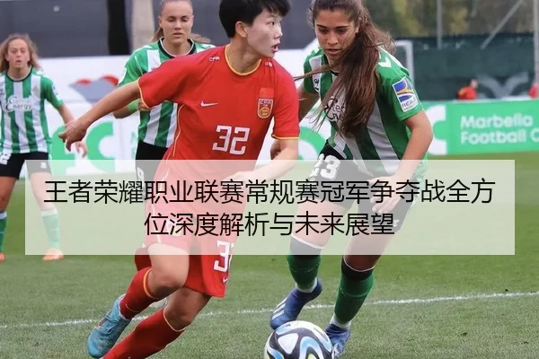 王者荣耀职业联赛常规赛冠军争夺战全方位深度解析与未来展望